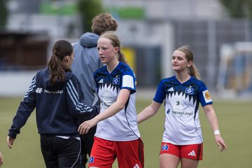 Bild 228 - wBJ Hamburger SV - FC Suederelbe : Ergebnis: 9:0